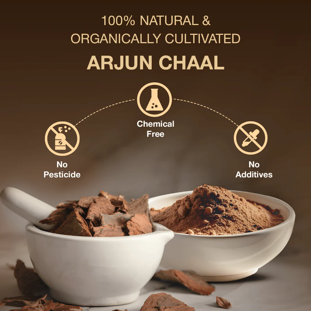 Arjun Chal pack of 2 - Image 5