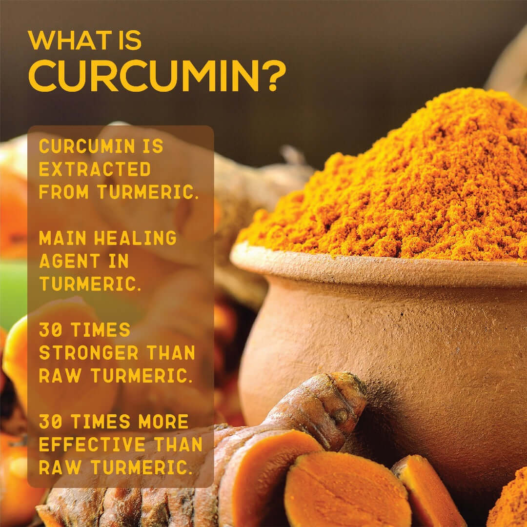Premium Curcumin Powder - 95% Curcuminoids for Inflammation & Joint Health, 50g - Image 3