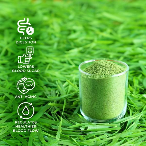 Saptamveda Wheatgrass Juice Powder - Detox & Immunity Boost - Image 4