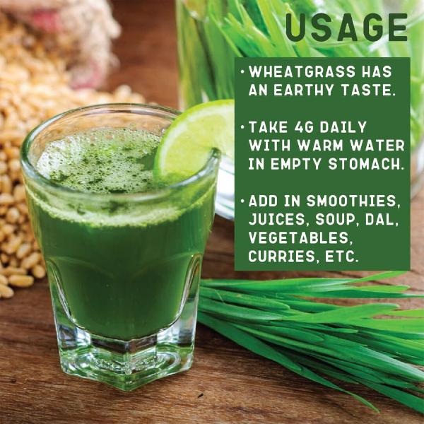 Saptamveda Wheatgrass Juice Powder - Detox & Immunity Boost - Image 6