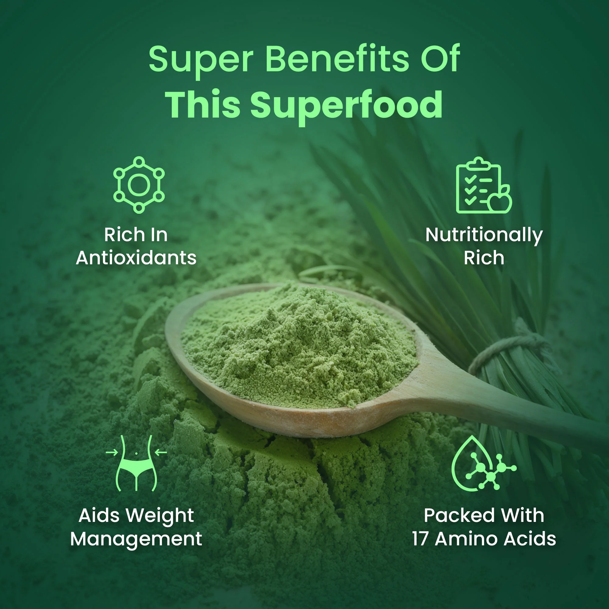 Saptamveda 100% Pure Wheatgrass Powder | Rich in Chlorophyll & Antioxidants | 200g Tin - Image 4