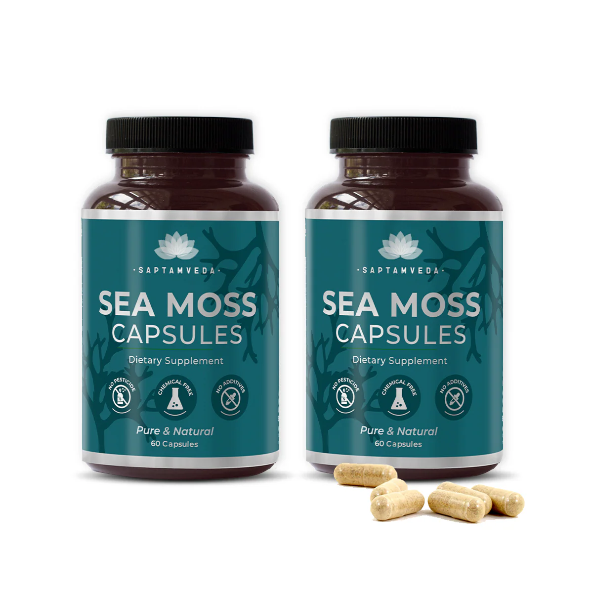 Saptamveda Irish Sea Moss Capsules - Immune Support with Bladderwrack, Burdock & Turmeric, 500mg - Image 3