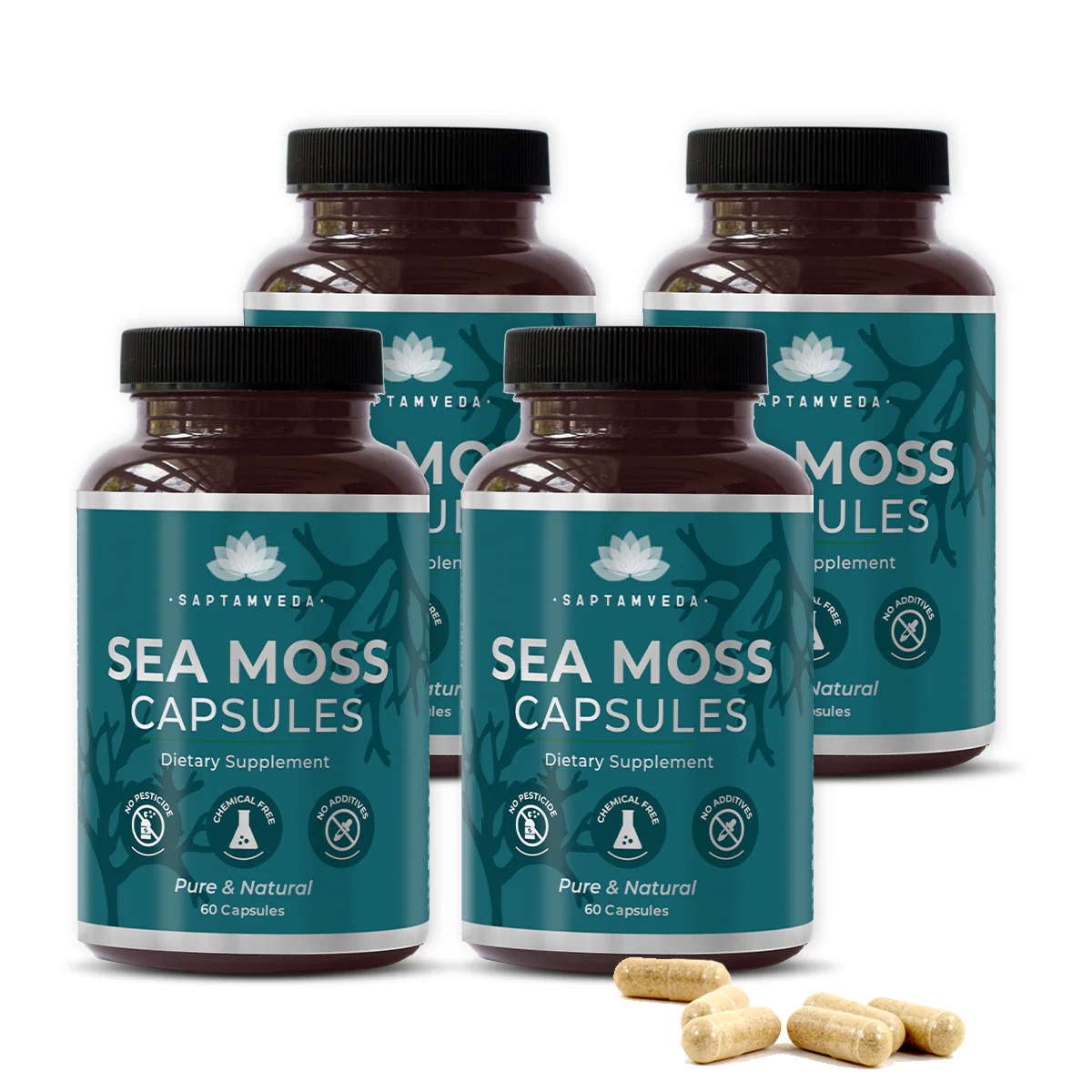 Saptamveda Irish Sea Moss Capsules - Immune Support with Bladderwrack, Burdock & Turmeric, 500mg - Image 4